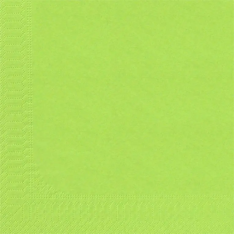 Serviette Ouate Pistache 30x39 /100