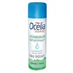 Brumisateur d'Eau /400ml