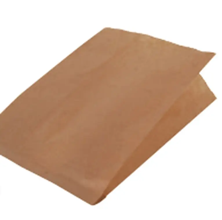 Sacs Kraft Brun /1000