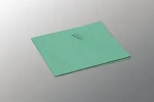 Lavettes MicroClean Vert 40x45 /5